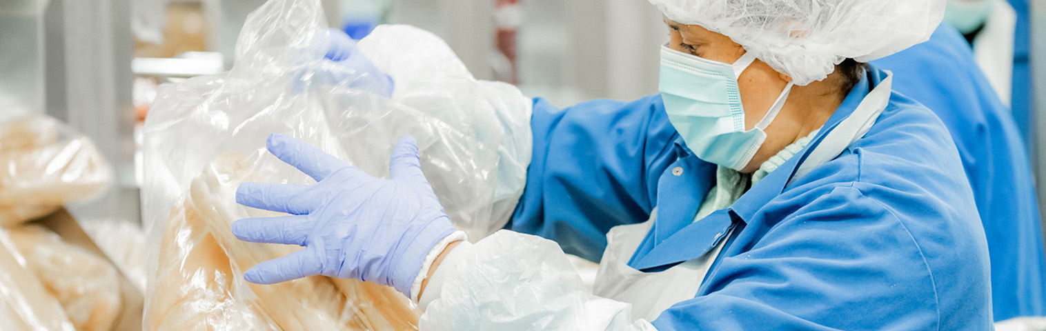 A side view of an employee wearing an apron, gloves, hairnet and mask closing a large bag filled with sandwich buns